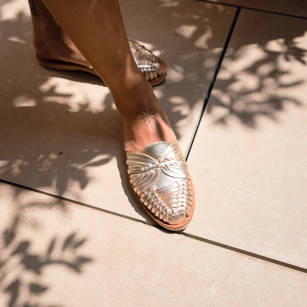 Sonora Champagne - Mule Mapache